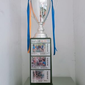 Desafío 12
